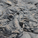 lava-rock-monster-galapagos-2